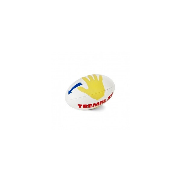 Rugbyball pédagogique SCHOOL RUGBY - taille 3 